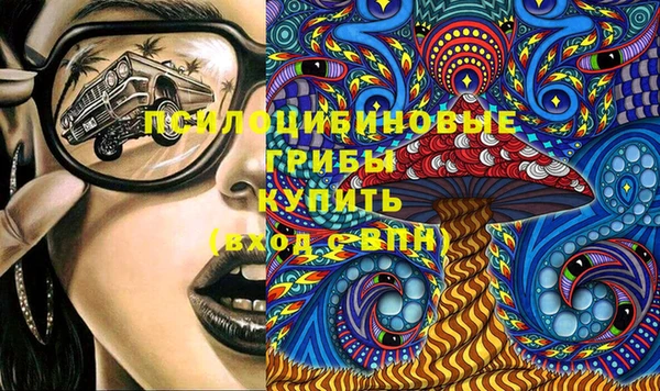 тгк Алзамай