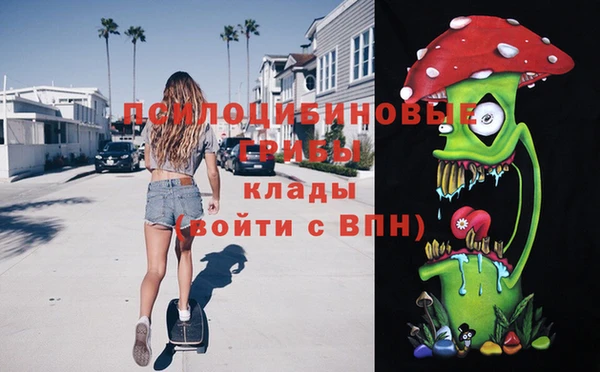 хмурый Абаза