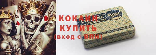 ПСИЛОЦИБИНОВЫЕ ГРИБЫ Алексин