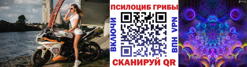 Псилоцибиновые грибы Psilocybe Шатура